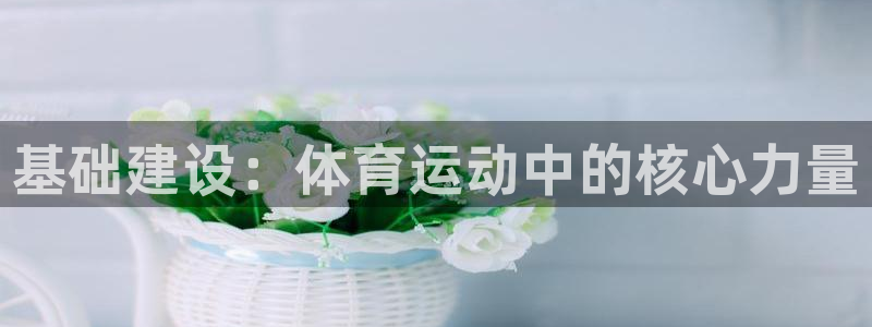 成都逐梦国际电子有限公司