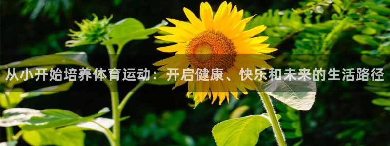 逐梦国际集团总部